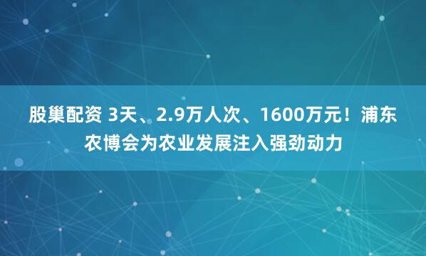 股巢配资 3天、2.9万人次、1600万元！浦东农博会为农业发展注入强劲动力