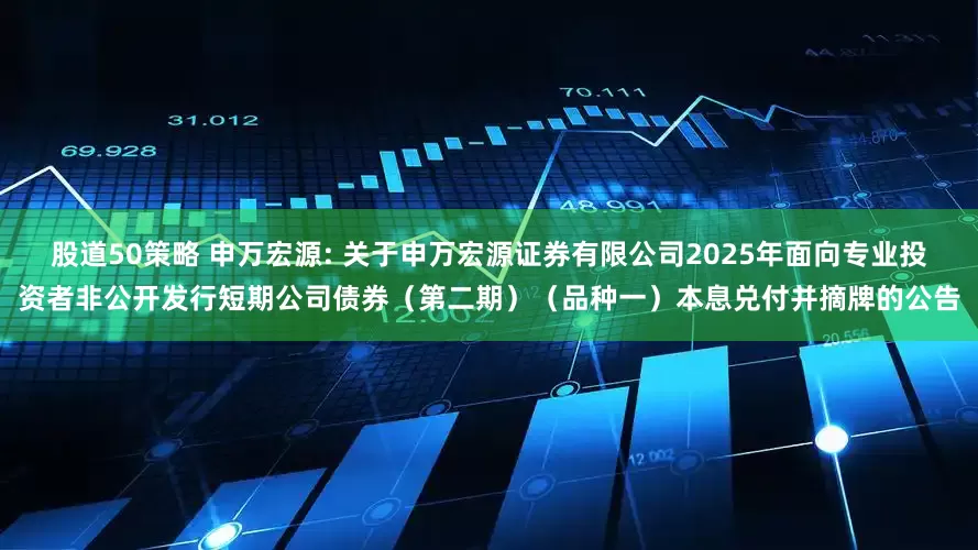 股道50策略 申万宏源: 关于申万宏源证券有限公司2025年面向专业投资者非公开发行短期公司债券（第二期）（品种一）本息兑付并摘牌的公告